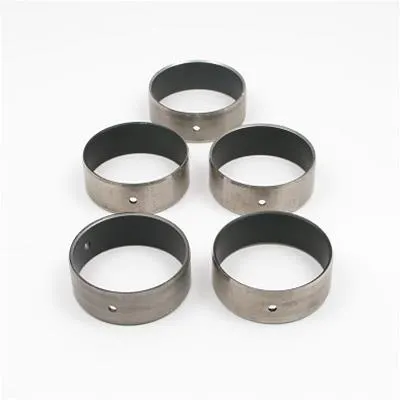 LS Cam Bearings, CH-10 1999-2006 LS1 First Design