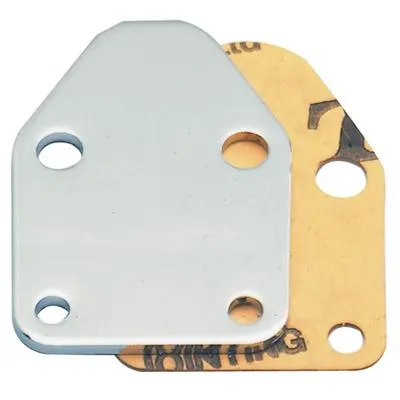 Plate, SUM-401030 Fuel Pump Block-Off Plate, Steel, Chrome Plated, Chevy, Small Block, Each