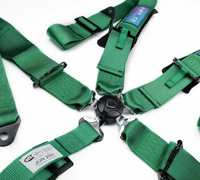 Seat Belt, SBH-B6PCGN 3 in. 5 Pint Seat Belt Harness & Cam Lock